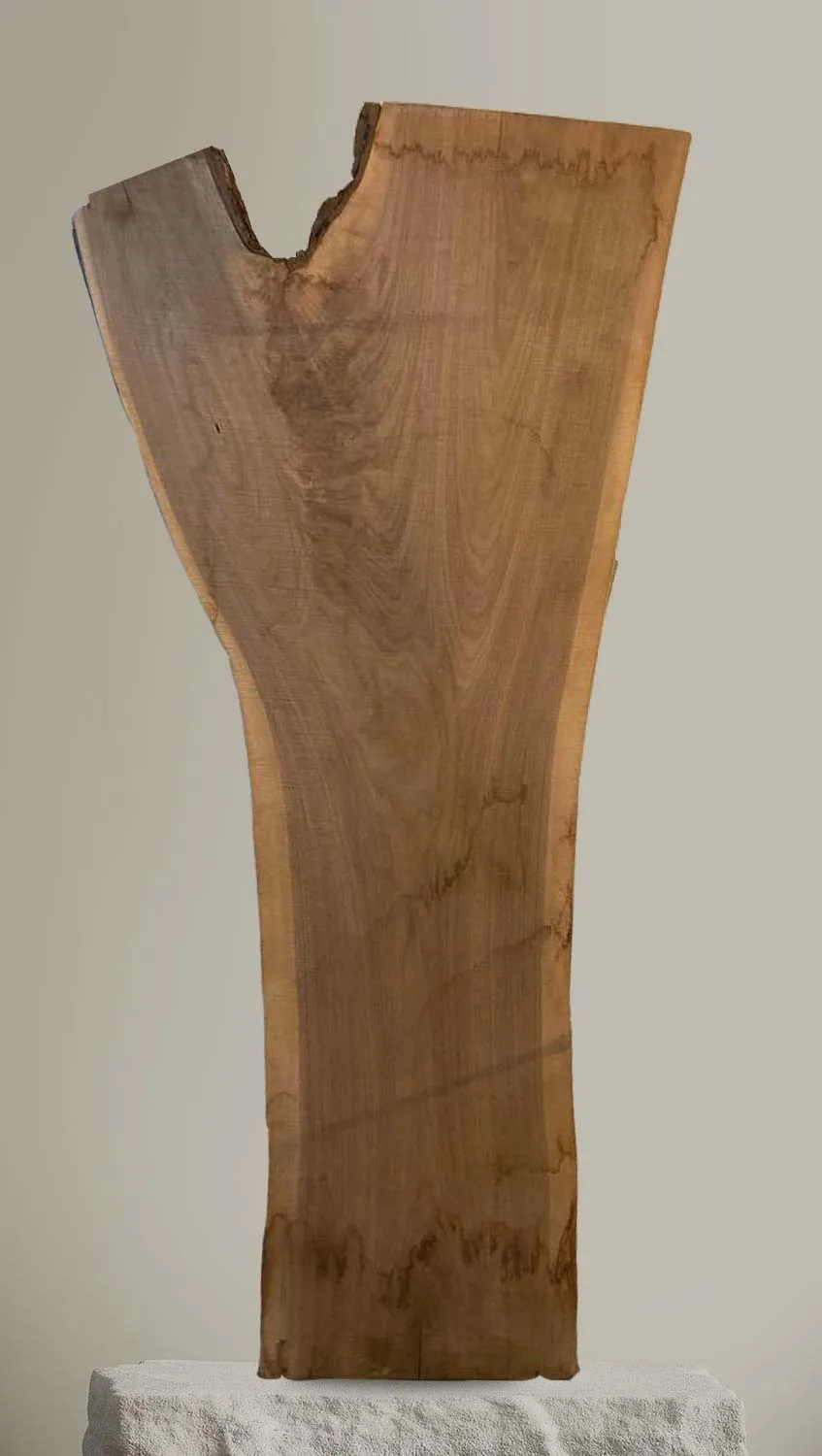 Black Walnut Slab