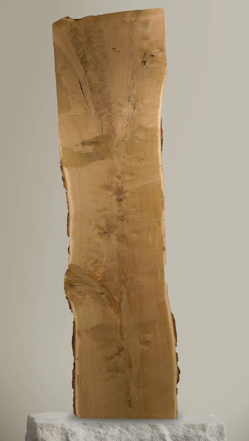 White_Oak